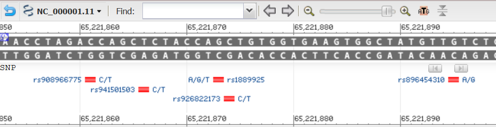 SNP track by NCBI Sequence Viewer